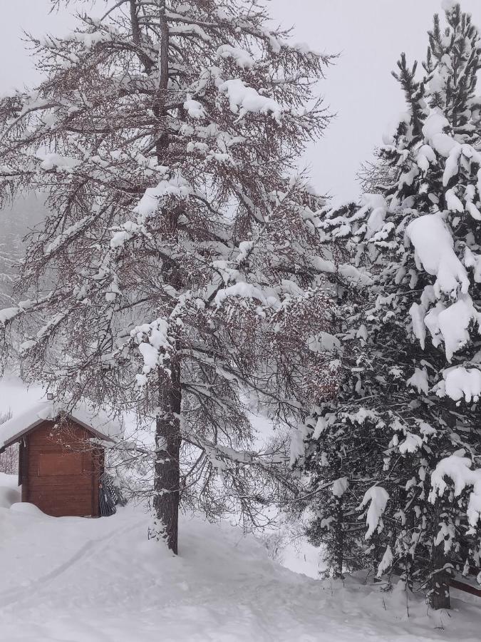 Appartement Montagne- Le Petit Chaillol Saint-Michel-de-Chaillol Eksteriør bilde